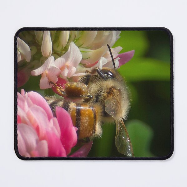 Item preview, Among the Clover — Loaded designed and sold by Feral Vibes.