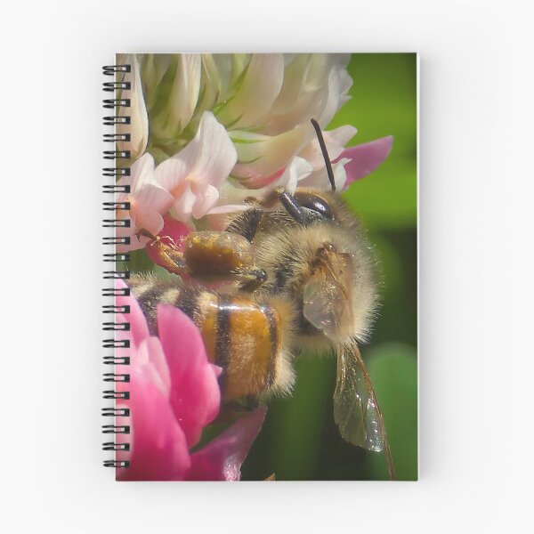 Item preview, Among the Clover — Loaded designed and sold by Feral Vibes.