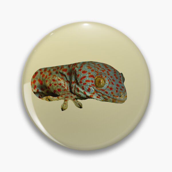 Item preview, Tokay Gecko designed and sold by Dalyndigital Photography.