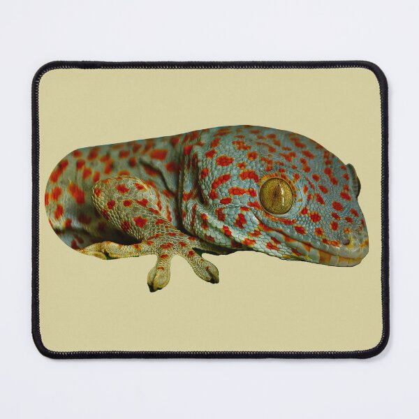 Item preview, Tokay Gecko designed and sold by Dalyndigital Photography.