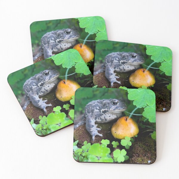 Item preview, Bullfrog in the Garden designed and sold by Alison Meyer Photography.