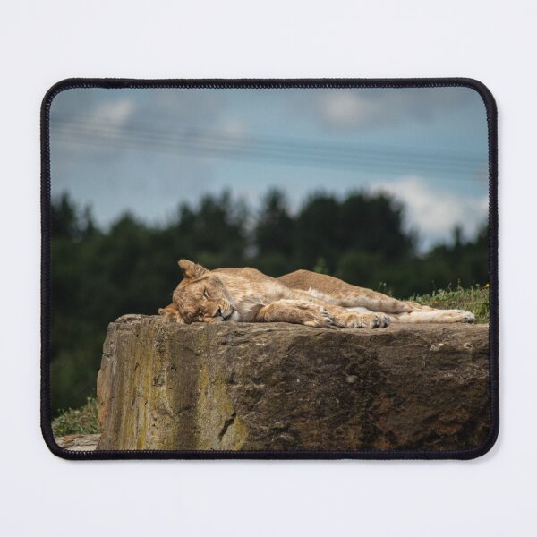 Item preview, Let Sleeping Cats Lie designed and sold by brynmelys.