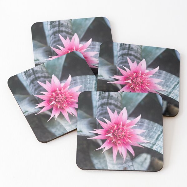 Item preview, Flower designed and sold by XaviFotografia.
