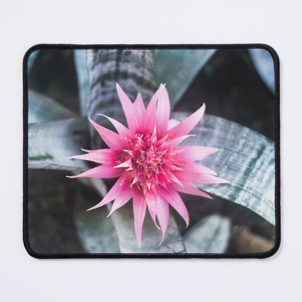 Item preview, Flower designed and sold by XaviFotografia.