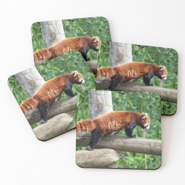 Item preview, Red Panda Party designed and sold by brynmelys.