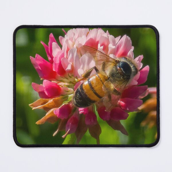 Item preview, Among the Clover — Past Peak designed and sold by Feral Vibes.