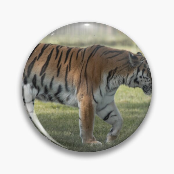 Item preview, Seeing Stripes designed and sold by brynmelys.