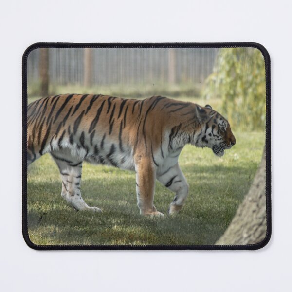 Item preview, Seeing Stripes designed and sold by brynmelys.