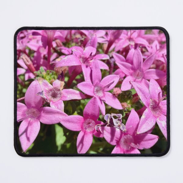 Item preview, Pink Stars designed and sold by Betsy Phillips.