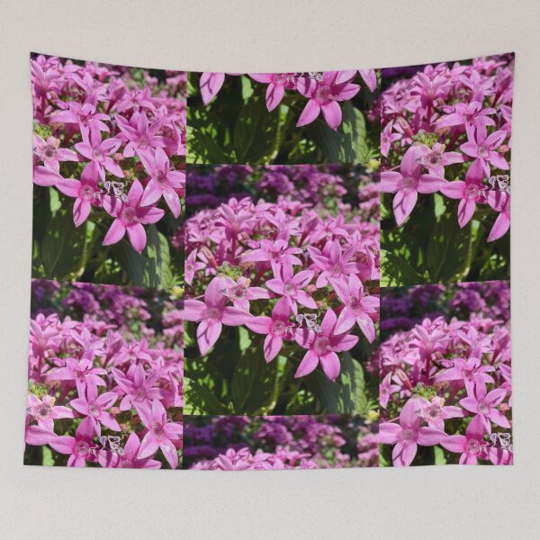 Item preview, Pink Stars designed and sold by Betsy Phillips.