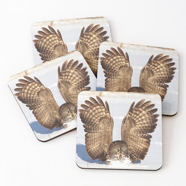 Item preview, Caught - Great Grey Owl designed and sold by James Cumming.