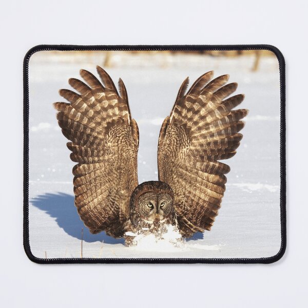 Item preview, Caught - Great Grey Owl designed and sold by James Cumming.