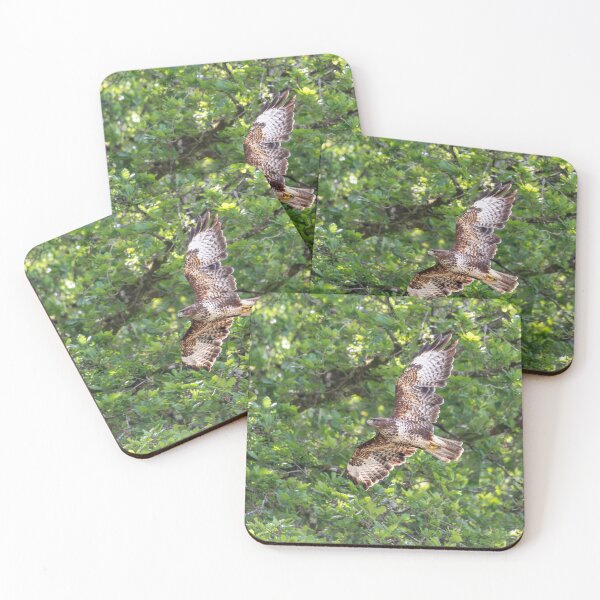 Item preview, Common Buzzard  designed and sold by Stephen Jarman.