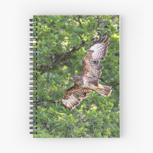 Item preview, Common Buzzard  designed and sold by Stephen Jarman.
