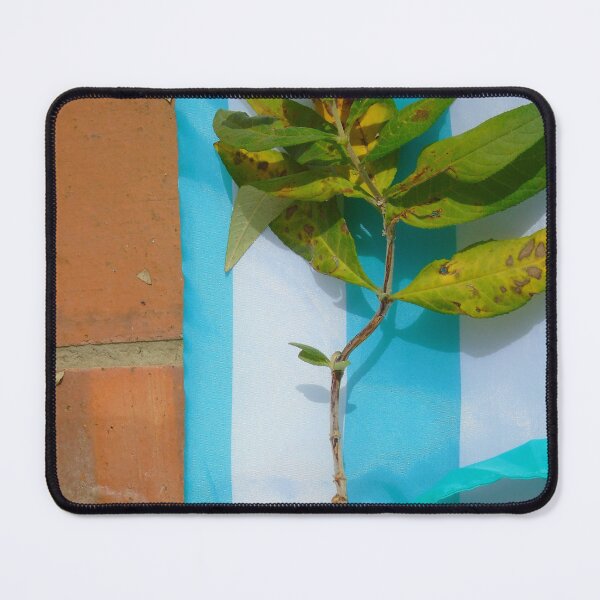 Item preview, Invasives designed and sold by ART22.