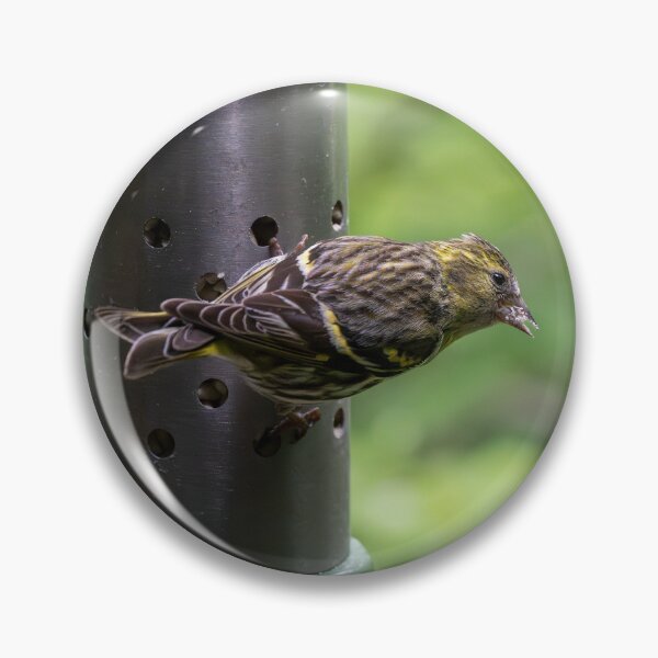 Item preview, Pine Sisken (Spinus pinus) designed and sold by Stephen Jarman.