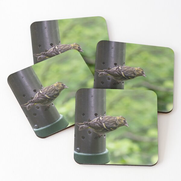 Item preview, Pine Sisken (Spinus pinus) designed and sold by Stephen Jarman.
