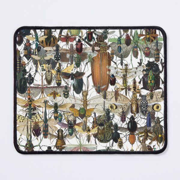 Item preview, bugs designed and sold by richandpure.