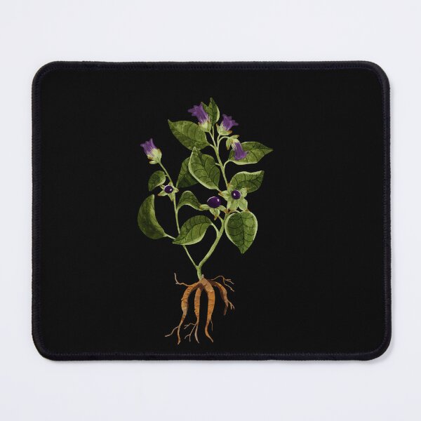 Item preview, Belladonna Botanical Illustration Study designed and sold by katherineblower.