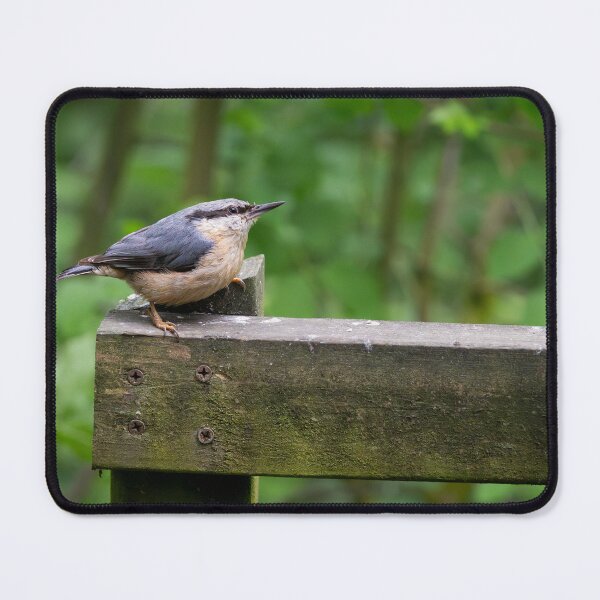 Item preview, Eurasian nuthatch (Sitta europaea)   designed and sold by Stephen Jarman.