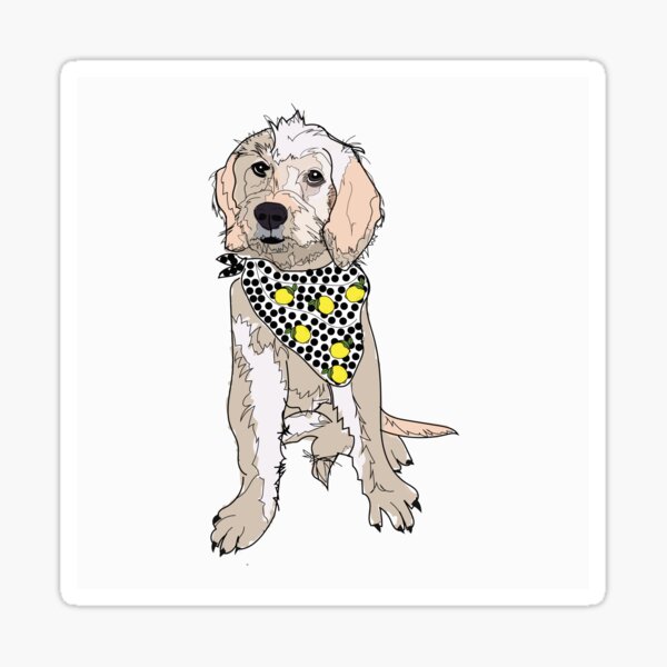 Lemon the Labradoodle Dog Sticker