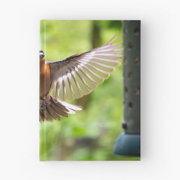 Item preview, Male common Chaffinch (Fringilla coelebs) designed and sold by Stephen Jarman.