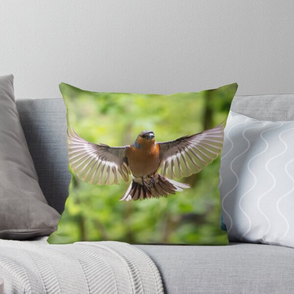 Item preview, Male common Chaffinch (Fringilla coelebs) designed and sold by Stephen Jarman.