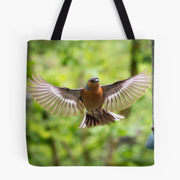 Item preview, Male common Chaffinch (Fringilla coelebs) designed and sold by Stephen Jarman.