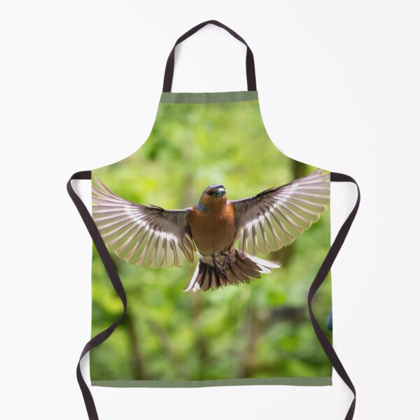 Item preview, Male common Chaffinch (Fringilla coelebs) designed and sold by Stephen Jarman.