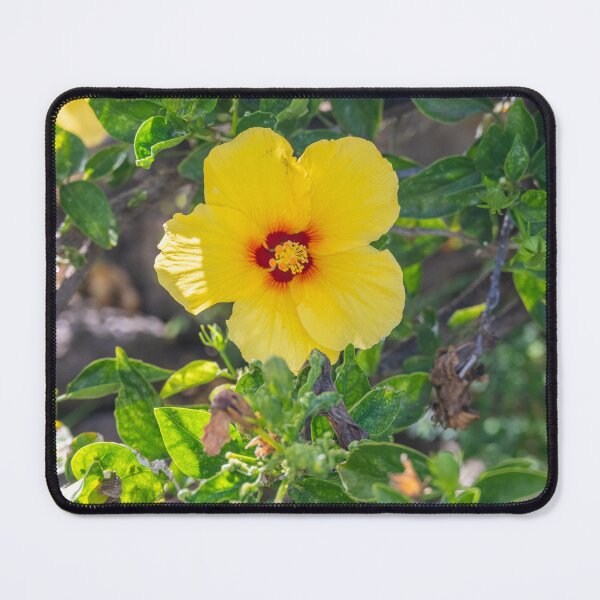 Item preview, Yellow Hibiscus designed and sold by CopperSkyPhoto.