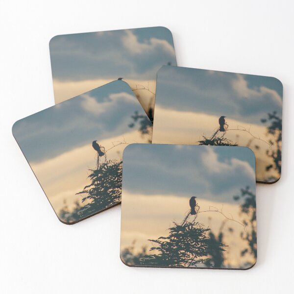 Item preview, Bird Silhouette  designed and sold by jedimasterdubz.