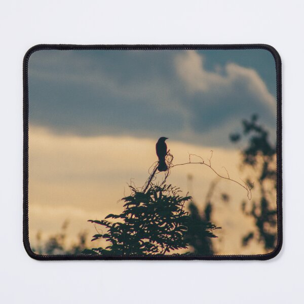 Item preview, Bird Silhouette designed and sold by jedimasterdubz.