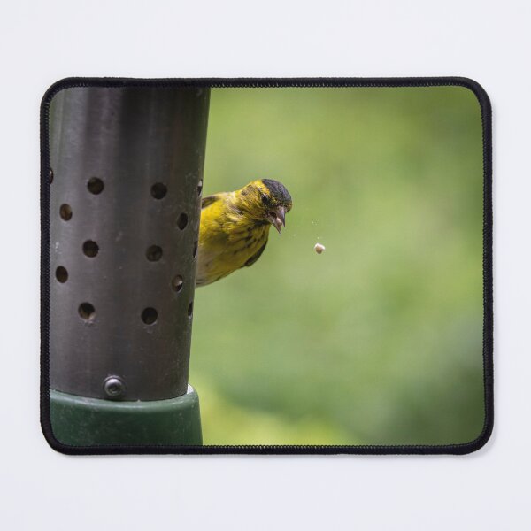 Item preview, Male Eurasian siskin (Spinus spinus) designed and sold by Stephen Jarman.