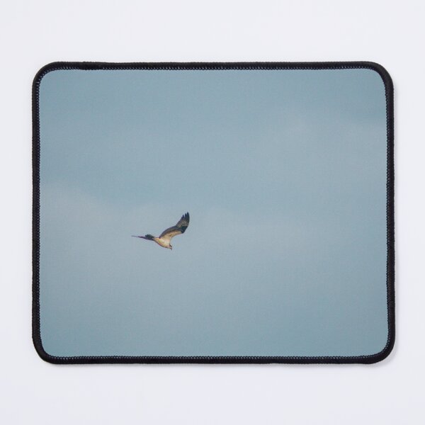 Item preview, Osprey in the sky designed and sold by jedimasterdubz.