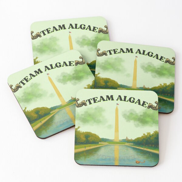 Item preview, Team Algae: Funny Washington DC Reflecting Pool Meme designed and sold by QUOT-s.
