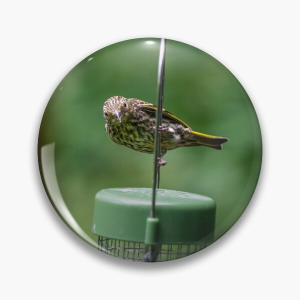 Item preview, Pine Siskin (Spinus spinus)  designed and sold by Stephen Jarman.