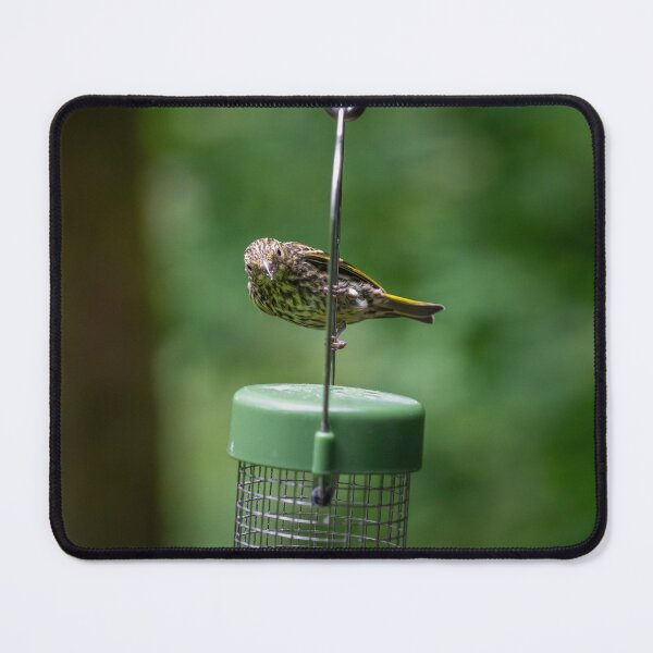 Item preview, Pine Siskin (Spinus spinus)  designed and sold by Stephen Jarman.