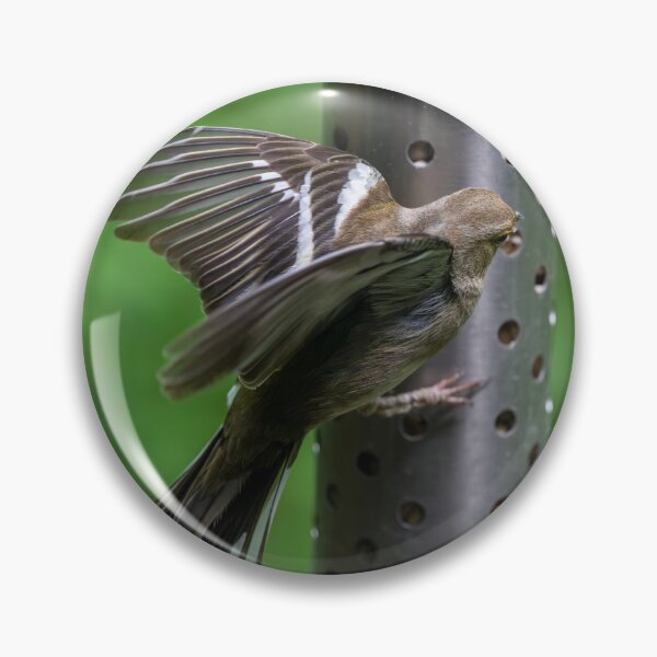 Item preview, Female common Chaffinch  designed and sold by Stephen Jarman.