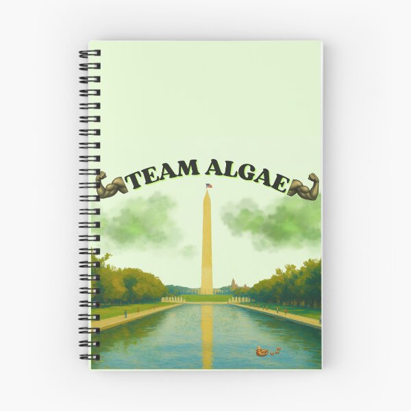 Item preview, Team Algae 2: Funny Washington DC Reflecting Pool Meme designed and sold by QUOT-s.