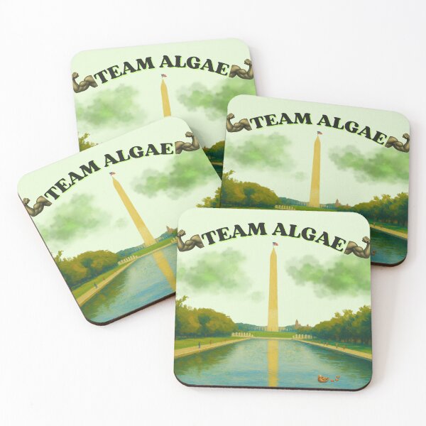 Item preview, Team Algae 2: Funny Washington DC Reflecting Pool Meme designed and sold by QUOT-s.