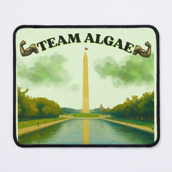 Item preview, Team Algae 2: Funny Washington DC Reflecting Pool Meme designed and sold by QUOT-s.