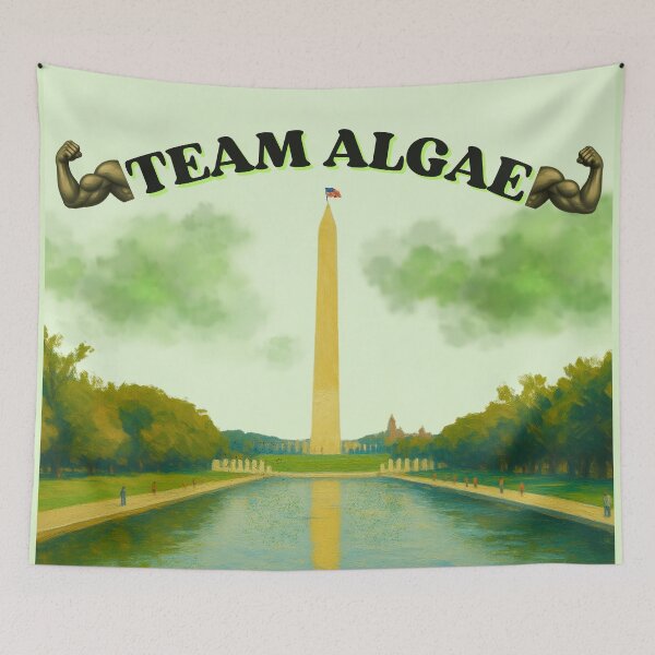 Item preview, Team Algae 2: Funny Washington DC Reflecting Pool Meme designed and sold by QUOT-s.