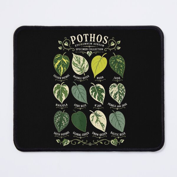 Item preview, Pothos Specimen Collection Epipremnum Aureum Plant Parent Botanical Variety Chart designed and sold by Taniyah Gomes.