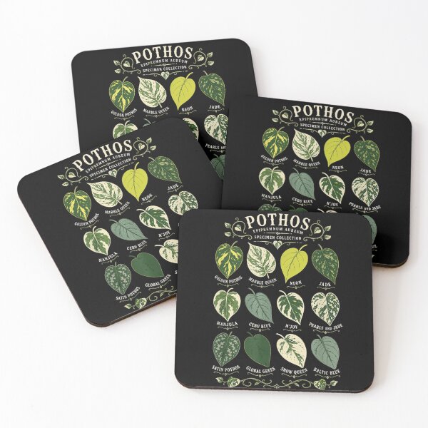 Item preview, Pothos Specimen Collection Epipremnum Aureum Plant Parent Botanical Variety Chart designed and sold by Taniyah Gomes.