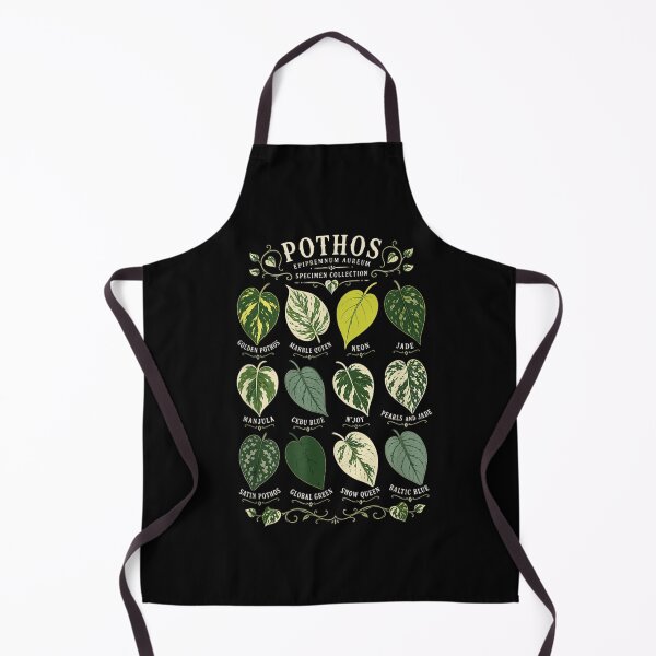 Item preview, Pothos Specimen Collection Epipremnum Aureum Plant Parent Botanical Variety Chart designed and sold by Taniyah Gomes.