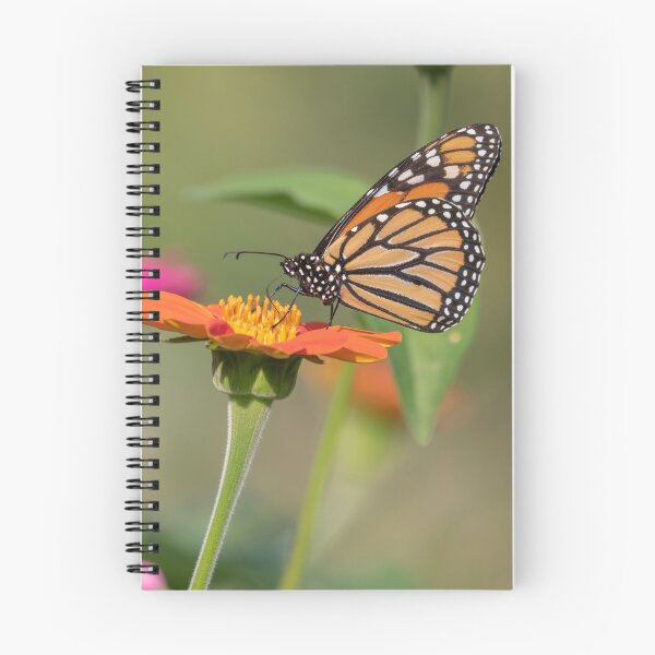 Item preview, Monarch 2018-10 designed and sold by Thomasyoung.