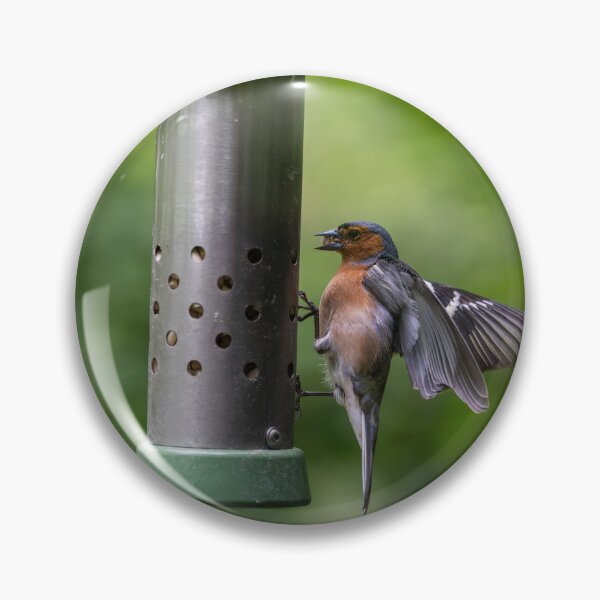 Item preview, Male Chaffinch (Fringilla coelebs)  designed and sold by Stephen Jarman.