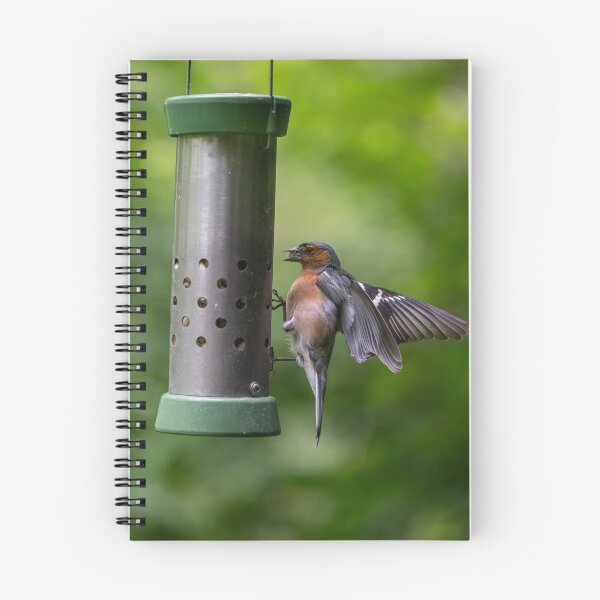 Item preview, Male Chaffinch (Fringilla coelebs)  designed and sold by Stephen Jarman.