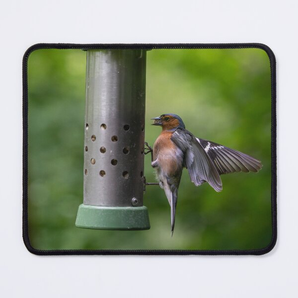 Item preview, Male Chaffinch (Fringilla coelebs)  designed and sold by Stephen Jarman.