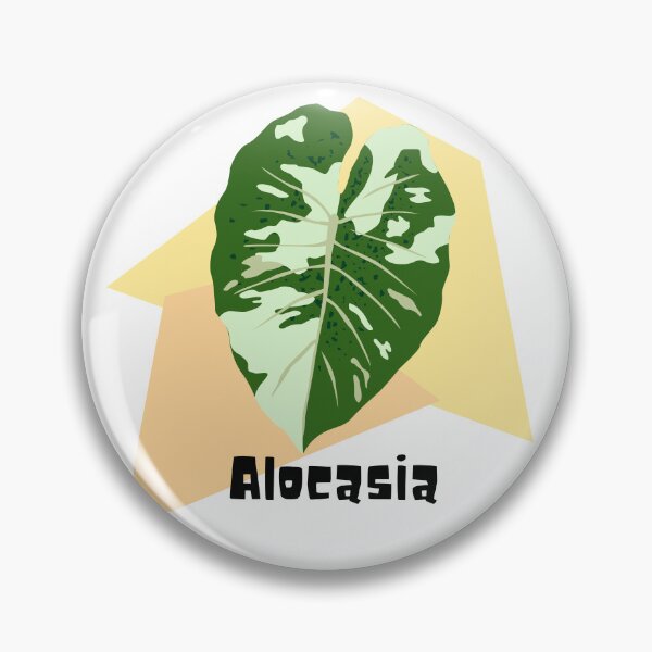 Item preview, Alocasia_1 designed and sold by PlantSholic.